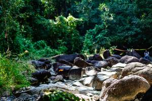 BIB: 
                            <button type="button" onclick="openModal(6938431)" class="btn btn-primary btn-sm float-right btn-popup" data-toggle="modal" data-target=".modal-high-quality">
                        <i class="fas fa-shopping-cart"></i> Add to Cart
                    </button>
                                            <button type="button" onclick="isThisMe(6938431, true)" class="btn btn-success btn-sm float-right btn-popup btn-isme hidden" data-toggle="tooltip" data-placement="bottom" title="นี่คือรูปของคุณใช่ไหม คลิกที่นี่เพื่อเอาเข้าอัลบั้ม">
                        <i class="fas fa-plus"></i> Add to album
                    </button>
                    <button type="button" onclick="isThisMe(6938431, false)" class="btn btn-warning btn-sm float-right btn-popup btn-isnotme hidden">
                        <i class="fas fa-ban"></i> Remove from album
                    </button>