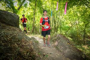 BIB: 
                            <button type="button" onclick="openModal(6941593)" class="btn btn-primary btn-sm float-right btn-popup" data-toggle="modal" data-target=".modal-high-quality">
                        <i class="fas fa-shopping-cart"></i> Add to Cart
                    </button>
                                            <button type="button" onclick="isThisMe(6941593, true)" class="btn btn-success btn-sm float-right btn-popup btn-isme hidden" data-toggle="tooltip" data-placement="bottom" title="นี่คือรูปของคุณใช่ไหม คลิกที่นี่เพื่อเอาเข้าอัลบั้ม">
                        <i class="fas fa-plus"></i> Add to album
                    </button>
                    <button type="button" onclick="isThisMe(6941593, false)" class="btn btn-warning btn-sm float-right btn-popup btn-isnotme hidden">
                        <i class="fas fa-ban"></i> Remove from album
                    </button>