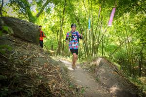 BIB: 
                            <button type="button" onclick="openModal(6941633)" class="btn btn-primary btn-sm float-right btn-popup" data-toggle="modal" data-target=".modal-high-quality">
                        <i class="fas fa-shopping-cart"></i> Add to Cart
                    </button>
                                            <button type="button" onclick="isThisMe(6941633, true)" class="btn btn-success btn-sm float-right btn-popup btn-isme hidden" data-toggle="tooltip" data-placement="bottom" title="นี่คือรูปของคุณใช่ไหม คลิกที่นี่เพื่อเอาเข้าอัลบั้ม">
                        <i class="fas fa-plus"></i> Add to album
                    </button>
                    <button type="button" onclick="isThisMe(6941633, false)" class="btn btn-warning btn-sm float-right btn-popup btn-isnotme hidden">
                        <i class="fas fa-ban"></i> Remove from album
                    </button>