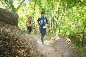 BIB: 
                            <button type="button" onclick="openModal(6968857)" class="btn btn-primary btn-sm float-right btn-popup" data-toggle="modal" data-target=".modal-high-quality">
                        <i class="fas fa-shopping-cart"></i> Add to Cart
                    </button>
                                            <button type="button" onclick="isThisMe(6968857, true)" class="btn btn-success btn-sm float-right btn-popup btn-isme hidden" data-toggle="tooltip" data-placement="bottom" title="นี่คือรูปของคุณใช่ไหม คลิกที่นี่เพื่อเอาเข้าอัลบั้ม">
                        <i class="fas fa-plus"></i> Add to album
                    </button>
                    <button type="button" onclick="isThisMe(6968857, false)" class="btn btn-warning btn-sm float-right btn-popup btn-isnotme hidden">
                        <i class="fas fa-ban"></i> Remove from album
                    </button>