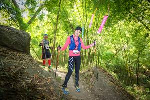 BIB: 
                            <button type="button" onclick="openModal(6941508)" class="btn btn-primary btn-sm float-right btn-popup" data-toggle="modal" data-target=".modal-high-quality">
                        <i class="fas fa-shopping-cart"></i> Add to Cart
                    </button>
                                            <button type="button" onclick="isThisMe(6941508, true)" class="btn btn-success btn-sm float-right btn-popup btn-isme hidden" data-toggle="tooltip" data-placement="bottom" title="นี่คือรูปของคุณใช่ไหม คลิกที่นี่เพื่อเอาเข้าอัลบั้ม">
                        <i class="fas fa-plus"></i> Add to album
                    </button>
                    <button type="button" onclick="isThisMe(6941508, false)" class="btn btn-warning btn-sm float-right btn-popup btn-isnotme hidden">
                        <i class="fas fa-ban"></i> Remove from album
                    </button>