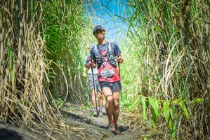 BIB: 204
                            <button type="button" onclick="openModal(6956496)" class="btn btn-primary btn-sm float-right btn-popup" data-toggle="modal" data-target=".modal-high-quality">
                        <i class="fas fa-shopping-cart"></i> Add to Cart
                    </button>
                                            <button type="button" onclick="isThisMe(6956496, true)" class="btn btn-success btn-sm float-right btn-popup btn-isme hidden" data-toggle="tooltip" data-placement="bottom" title="นี่คือรูปของคุณใช่ไหม คลิกที่นี่เพื่อเอาเข้าอัลบั้ม">
                        <i class="fas fa-plus"></i> Add to album
                    </button>
                    <button type="button" onclick="isThisMe(6956496, false)" class="btn btn-warning btn-sm float-right btn-popup btn-isnotme hidden">
                        <i class="fas fa-ban"></i> Remove from album
                    </button>