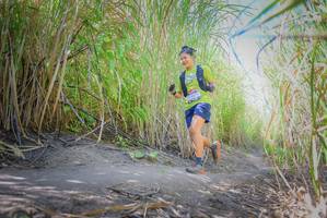 BIB: 
                            <button type="button" onclick="openModal(7088973)" class="btn btn-primary btn-sm float-right btn-popup" data-toggle="modal" data-target=".modal-high-quality">
                        <i class="fas fa-shopping-cart"></i> Add to Cart
                    </button>
                                            <button type="button" onclick="isThisMe(7088973, true)" class="btn btn-success btn-sm float-right btn-popup btn-isme hidden" data-toggle="tooltip" data-placement="bottom" title="นี่คือรูปของคุณใช่ไหม คลิกที่นี่เพื่อเอาเข้าอัลบั้ม">
                        <i class="fas fa-plus"></i> Add to album
                    </button>
                    <button type="button" onclick="isThisMe(7088973, false)" class="btn btn-warning btn-sm float-right btn-popup btn-isnotme hidden">
                        <i class="fas fa-ban"></i> Remove from album
                    </button>