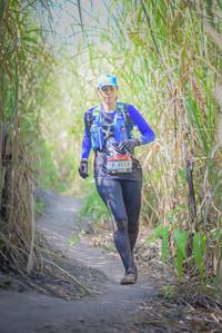 BIB: 4113, 
                            <button type="button" onclick="openModal(7090710)" class="btn btn-primary btn-sm float-right btn-popup" data-toggle="modal" data-target=".modal-high-quality">
                        <i class="fas fa-shopping-cart"></i> Add to Cart
                    </button>
                                            <button type="button" onclick="isThisMe(7090710, true)" class="btn btn-success btn-sm float-right btn-popup btn-isme hidden" data-toggle="tooltip" data-placement="bottom" title="นี่คือรูปของคุณใช่ไหม คลิกที่นี่เพื่อเอาเข้าอัลบั้ม">
                        <i class="fas fa-plus"></i> Add to album
                    </button>
                    <button type="button" onclick="isThisMe(7090710, false)" class="btn btn-warning btn-sm float-right btn-popup btn-isnotme hidden">
                        <i class="fas fa-ban"></i> Remove from album
                    </button>