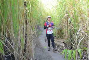 BIB: 
                            <button type="button" onclick="openModal(7109183)" class="btn btn-primary btn-sm float-right btn-popup" data-toggle="modal" data-target=".modal-high-quality">
                        <i class="fas fa-shopping-cart"></i> Add to Cart
                    </button>
                                            <button type="button" onclick="isThisMe(7109183, true)" class="btn btn-success btn-sm float-right btn-popup btn-isme hidden" data-toggle="tooltip" data-placement="bottom" title="นี่คือรูปของคุณใช่ไหม คลิกที่นี่เพื่อเอาเข้าอัลบั้ม">
                        <i class="fas fa-plus"></i> Add to album
                    </button>
                    <button type="button" onclick="isThisMe(7109183, false)" class="btn btn-warning btn-sm float-right btn-popup btn-isnotme hidden">
                        <i class="fas fa-ban"></i> Remove from album
                    </button>