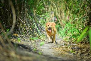 BIB: 
                            <button type="button" onclick="openModal(6956464)" class="btn btn-primary btn-sm float-right btn-popup" data-toggle="modal" data-target=".modal-high-quality">
                        <i class="fas fa-shopping-cart"></i> Add to Cart
                    </button>
                                            <button type="button" onclick="isThisMe(6956464, true)" class="btn btn-success btn-sm float-right btn-popup btn-isme hidden" data-toggle="tooltip" data-placement="bottom" title="นี่คือรูปของคุณใช่ไหม คลิกที่นี่เพื่อเอาเข้าอัลบั้ม">
                        <i class="fas fa-plus"></i> Add to album
                    </button>
                    <button type="button" onclick="isThisMe(6956464, false)" class="btn btn-warning btn-sm float-right btn-popup btn-isnotme hidden">
                        <i class="fas fa-ban"></i> Remove from album
                    </button>