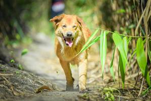 BIB: 
                            <button type="button" onclick="openModal(6956467)" class="btn btn-primary btn-sm float-right btn-popup" data-toggle="modal" data-target=".modal-high-quality">
                        <i class="fas fa-shopping-cart"></i> Add to Cart
                    </button>
                                            <button type="button" onclick="isThisMe(6956467, true)" class="btn btn-success btn-sm float-right btn-popup btn-isme hidden" data-toggle="tooltip" data-placement="bottom" title="นี่คือรูปของคุณใช่ไหม คลิกที่นี่เพื่อเอาเข้าอัลบั้ม">
                        <i class="fas fa-plus"></i> Add to album
                    </button>
                    <button type="button" onclick="isThisMe(6956467, false)" class="btn btn-warning btn-sm float-right btn-popup btn-isnotme hidden">
                        <i class="fas fa-ban"></i> Remove from album
                    </button>