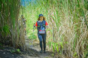 BIB: 2825, 
                            <button type="button" onclick="openModal(7088123)" class="btn btn-primary btn-sm float-right btn-popup" data-toggle="modal" data-target=".modal-high-quality">
                        <i class="fas fa-shopping-cart"></i> Add to Cart
                    </button>
                                            <button type="button" onclick="isThisMe(7088123, true)" class="btn btn-success btn-sm float-right btn-popup btn-isme hidden" data-toggle="tooltip" data-placement="bottom" title="นี่คือรูปของคุณใช่ไหม คลิกที่นี่เพื่อเอาเข้าอัลบั้ม">
                        <i class="fas fa-plus"></i> Add to album
                    </button>
                    <button type="button" onclick="isThisMe(7088123, false)" class="btn btn-warning btn-sm float-right btn-popup btn-isnotme hidden">
                        <i class="fas fa-ban"></i> Remove from album
                    </button>