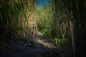 BIB: 
                            <button type="button" onclick="openModal(6945118)" class="btn btn-primary btn-sm float-right btn-popup" data-toggle="modal" data-target=".modal-high-quality">
                        <i class="fas fa-shopping-cart"></i> Add to Cart
                    </button>
                                            <button type="button" onclick="isThisMe(6945118, true)" class="btn btn-success btn-sm float-right btn-popup btn-isme hidden" data-toggle="tooltip" data-placement="bottom" title="นี่คือรูปของคุณใช่ไหม คลิกที่นี่เพื่อเอาเข้าอัลบั้ม">
                        <i class="fas fa-plus"></i> Add to album
                    </button>
                    <button type="button" onclick="isThisMe(6945118, false)" class="btn btn-warning btn-sm float-right btn-popup btn-isnotme hidden">
                        <i class="fas fa-ban"></i> Remove from album
                    </button>