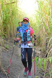 BIB: 
                            <button type="button" onclick="openModal(7109208)" class="btn btn-primary btn-sm float-right btn-popup" data-toggle="modal" data-target=".modal-high-quality">
                        <i class="fas fa-shopping-cart"></i> Add to Cart
                    </button>
                                            <button type="button" onclick="isThisMe(7109208, true)" class="btn btn-success btn-sm float-right btn-popup btn-isme hidden" data-toggle="tooltip" data-placement="bottom" title="นี่คือรูปของคุณใช่ไหม คลิกที่นี่เพื่อเอาเข้าอัลบั้ม">
                        <i class="fas fa-plus"></i> Add to album
                    </button>
                    <button type="button" onclick="isThisMe(7109208, false)" class="btn btn-warning btn-sm float-right btn-popup btn-isnotme hidden">
                        <i class="fas fa-ban"></i> Remove from album
                    </button>