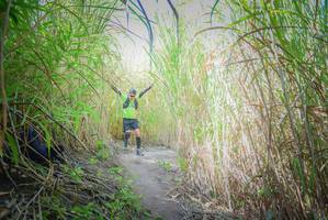 BIB: 
                            <button type="button" onclick="openModal(7088587)" class="btn btn-primary btn-sm float-right btn-popup" data-toggle="modal" data-target=".modal-high-quality">
                        <i class="fas fa-shopping-cart"></i> Add to Cart
                    </button>
                                            <button type="button" onclick="isThisMe(7088587, true)" class="btn btn-success btn-sm float-right btn-popup btn-isme hidden" data-toggle="tooltip" data-placement="bottom" title="นี่คือรูปของคุณใช่ไหม คลิกที่นี่เพื่อเอาเข้าอัลบั้ม">
                        <i class="fas fa-plus"></i> Add to album
                    </button>
                    <button type="button" onclick="isThisMe(7088587, false)" class="btn btn-warning btn-sm float-right btn-popup btn-isnotme hidden">
                        <i class="fas fa-ban"></i> Remove from album
                    </button>