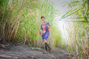 BIB: 
                            <button type="button" onclick="openModal(7088774)" class="btn btn-primary btn-sm float-right btn-popup" data-toggle="modal" data-target=".modal-high-quality">
                        <i class="fas fa-shopping-cart"></i> Add to Cart
                    </button>
                                            <button type="button" onclick="isThisMe(7088774, true)" class="btn btn-success btn-sm float-right btn-popup btn-isme hidden" data-toggle="tooltip" data-placement="bottom" title="นี่คือรูปของคุณใช่ไหม คลิกที่นี่เพื่อเอาเข้าอัลบั้ม">
                        <i class="fas fa-plus"></i> Add to album
                    </button>
                    <button type="button" onclick="isThisMe(7088774, false)" class="btn btn-warning btn-sm float-right btn-popup btn-isnotme hidden">
                        <i class="fas fa-ban"></i> Remove from album
                    </button>