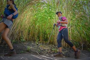 BIB: 
                            <button type="button" onclick="openModal(7088746)" class="btn btn-primary btn-sm float-right btn-popup" data-toggle="modal" data-target=".modal-high-quality">
                        <i class="fas fa-shopping-cart"></i> Add to Cart
                    </button>
                                            <button type="button" onclick="isThisMe(7088746, true)" class="btn btn-success btn-sm float-right btn-popup btn-isme hidden" data-toggle="tooltip" data-placement="bottom" title="นี่คือรูปของคุณใช่ไหม คลิกที่นี่เพื่อเอาเข้าอัลบั้ม">
                        <i class="fas fa-plus"></i> Add to album
                    </button>
                    <button type="button" onclick="isThisMe(7088746, false)" class="btn btn-warning btn-sm float-right btn-popup btn-isnotme hidden">
                        <i class="fas fa-ban"></i> Remove from album
                    </button>