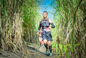 BIB: 254
                            <button type="button" onclick="openModal(6956454)" class="btn btn-primary btn-sm float-right btn-popup" data-toggle="modal" data-target=".modal-high-quality">
                        <i class="fas fa-shopping-cart"></i> Add to Cart
                    </button>
                                            <button type="button" onclick="isThisMe(6956454, true)" class="btn btn-success btn-sm float-right btn-popup btn-isme hidden" data-toggle="tooltip" data-placement="bottom" title="นี่คือรูปของคุณใช่ไหม คลิกที่นี่เพื่อเอาเข้าอัลบั้ม">
                        <i class="fas fa-plus"></i> Add to album
                    </button>
                    <button type="button" onclick="isThisMe(6956454, false)" class="btn btn-warning btn-sm float-right btn-popup btn-isnotme hidden">
                        <i class="fas fa-ban"></i> Remove from album
                    </button>