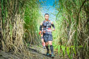 BIB: 254
                            <button type="button" onclick="openModal(6956453)" class="btn btn-primary btn-sm float-right btn-popup" data-toggle="modal" data-target=".modal-high-quality">
                        <i class="fas fa-shopping-cart"></i> Add to Cart
                    </button>
                                            <button type="button" onclick="isThisMe(6956453, true)" class="btn btn-success btn-sm float-right btn-popup btn-isme hidden" data-toggle="tooltip" data-placement="bottom" title="นี่คือรูปของคุณใช่ไหม คลิกที่นี่เพื่อเอาเข้าอัลบั้ม">
                        <i class="fas fa-plus"></i> Add to album
                    </button>
                    <button type="button" onclick="isThisMe(6956453, false)" class="btn btn-warning btn-sm float-right btn-popup btn-isnotme hidden">
                        <i class="fas fa-ban"></i> Remove from album
                    </button>