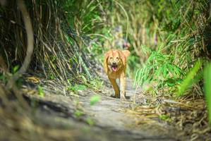 BIB: 
                            <button type="button" onclick="openModal(6956465)" class="btn btn-primary btn-sm float-right btn-popup" data-toggle="modal" data-target=".modal-high-quality">
                        <i class="fas fa-shopping-cart"></i> Add to Cart
                    </button>
                                            <button type="button" onclick="isThisMe(6956465, true)" class="btn btn-success btn-sm float-right btn-popup btn-isme hidden" data-toggle="tooltip" data-placement="bottom" title="นี่คือรูปของคุณใช่ไหม คลิกที่นี่เพื่อเอาเข้าอัลบั้ม">
                        <i class="fas fa-plus"></i> Add to album
                    </button>
                    <button type="button" onclick="isThisMe(6956465, false)" class="btn btn-warning btn-sm float-right btn-popup btn-isnotme hidden">
                        <i class="fas fa-ban"></i> Remove from album
                    </button>