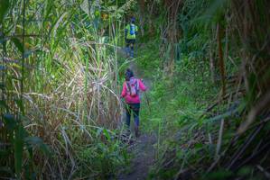 BIB: 
                            <button type="button" onclick="openModal(7088605)" class="btn btn-primary btn-sm float-right btn-popup" data-toggle="modal" data-target=".modal-high-quality">
                        <i class="fas fa-shopping-cart"></i> Add to Cart
                    </button>
                                            <button type="button" onclick="isThisMe(7088605, true)" class="btn btn-success btn-sm float-right btn-popup btn-isme hidden" data-toggle="tooltip" data-placement="bottom" title="นี่คือรูปของคุณใช่ไหม คลิกที่นี่เพื่อเอาเข้าอัลบั้ม">
                        <i class="fas fa-plus"></i> Add to album
                    </button>
                    <button type="button" onclick="isThisMe(7088605, false)" class="btn btn-warning btn-sm float-right btn-popup btn-isnotme hidden">
                        <i class="fas fa-ban"></i> Remove from album
                    </button>