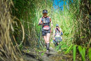 BIB: 2039
                            <button type="button" onclick="openModal(6956363)" class="btn btn-primary btn-sm float-right btn-popup" data-toggle="modal" data-target=".modal-high-quality">
                        <i class="fas fa-shopping-cart"></i> Add to Cart
                    </button>
                                            <button type="button" onclick="isThisMe(6956363, true)" class="btn btn-success btn-sm float-right btn-popup btn-isme hidden" data-toggle="tooltip" data-placement="bottom" title="นี่คือรูปของคุณใช่ไหม คลิกที่นี่เพื่อเอาเข้าอัลบั้ม">
                        <i class="fas fa-plus"></i> Add to album
                    </button>
                    <button type="button" onclick="isThisMe(6956363, false)" class="btn btn-warning btn-sm float-right btn-popup btn-isnotme hidden">
                        <i class="fas fa-ban"></i> Remove from album
                    </button>