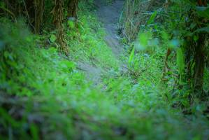 BIB: 
                            <button type="button" onclick="openModal(7092732)" class="btn btn-primary btn-sm float-right btn-popup" data-toggle="modal" data-target=".modal-high-quality">
                        <i class="fas fa-shopping-cart"></i> Add to Cart
                    </button>
                                            <button type="button" onclick="isThisMe(7092732, true)" class="btn btn-success btn-sm float-right btn-popup btn-isme hidden" data-toggle="tooltip" data-placement="bottom" title="นี่คือรูปของคุณใช่ไหม คลิกที่นี่เพื่อเอาเข้าอัลบั้ม">
                        <i class="fas fa-plus"></i> Add to album
                    </button>
                    <button type="button" onclick="isThisMe(7092732, false)" class="btn btn-warning btn-sm float-right btn-popup btn-isnotme hidden">
                        <i class="fas fa-ban"></i> Remove from album
                    </button>