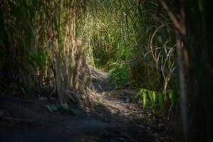 BIB: 
                            <button type="button" onclick="openModal(6945120)" class="btn btn-primary btn-sm float-right btn-popup" data-toggle="modal" data-target=".modal-high-quality">
                        <i class="fas fa-shopping-cart"></i> Add to Cart
                    </button>
                                            <button type="button" onclick="isThisMe(6945120, true)" class="btn btn-success btn-sm float-right btn-popup btn-isme hidden" data-toggle="tooltip" data-placement="bottom" title="นี่คือรูปของคุณใช่ไหม คลิกที่นี่เพื่อเอาเข้าอัลบั้ม">
                        <i class="fas fa-plus"></i> Add to album
                    </button>
                    <button type="button" onclick="isThisMe(6945120, false)" class="btn btn-warning btn-sm float-right btn-popup btn-isnotme hidden">
                        <i class="fas fa-ban"></i> Remove from album
                    </button>