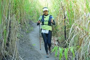 BIB: 4058
                            <button type="button" onclick="openModal(7109106)" class="btn btn-primary btn-sm float-right btn-popup" data-toggle="modal" data-target=".modal-high-quality">
                        <i class="fas fa-shopping-cart"></i> Add to Cart
                    </button>
                                            <button type="button" onclick="isThisMe(7109106, true)" class="btn btn-success btn-sm float-right btn-popup btn-isme hidden" data-toggle="tooltip" data-placement="bottom" title="นี่คือรูปของคุณใช่ไหม คลิกที่นี่เพื่อเอาเข้าอัลบั้ม">
                        <i class="fas fa-plus"></i> Add to album
                    </button>
                    <button type="button" onclick="isThisMe(7109106, false)" class="btn btn-warning btn-sm float-right btn-popup btn-isnotme hidden">
                        <i class="fas fa-ban"></i> Remove from album
                    </button>