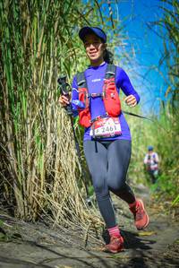 BIB: 2461, 
                            <button type="button" onclick="openModal(6956378)" class="btn btn-primary btn-sm float-right btn-popup" data-toggle="modal" data-target=".modal-high-quality">
                        <i class="fas fa-shopping-cart"></i> Add to Cart
                    </button>
                                            <button type="button" onclick="isThisMe(6956378, true)" class="btn btn-success btn-sm float-right btn-popup btn-isme hidden" data-toggle="tooltip" data-placement="bottom" title="นี่คือรูปของคุณใช่ไหม คลิกที่นี่เพื่อเอาเข้าอัลบั้ม">
                        <i class="fas fa-plus"></i> Add to album
                    </button>
                    <button type="button" onclick="isThisMe(6956378, false)" class="btn btn-warning btn-sm float-right btn-popup btn-isnotme hidden">
                        <i class="fas fa-ban"></i> Remove from album
                    </button>