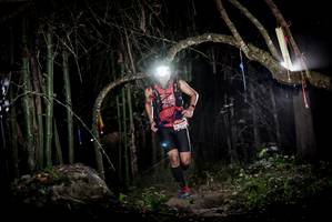 BIB: 7021, 
                            <button type="button" onclick="openModal(6878259)" class="btn btn-primary btn-sm float-right btn-popup" data-toggle="modal" data-target=".modal-high-quality">
                        <i class="fas fa-shopping-cart"></i> Add to Cart
                    </button>
                                            <button type="button" onclick="isThisMe(6878259, true)" class="btn btn-success btn-sm float-right btn-popup btn-isme hidden" data-toggle="tooltip" data-placement="bottom" title="นี่คือรูปของคุณใช่ไหม คลิกที่นี่เพื่อเอาเข้าอัลบั้ม">
                        <i class="fas fa-plus"></i> Add to album
                    </button>
                    <button type="button" onclick="isThisMe(6878259, false)" class="btn btn-warning btn-sm float-right btn-popup btn-isnotme hidden">
                        <i class="fas fa-ban"></i> Remove from album
                    </button>