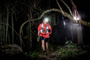 BIB: 
                            <button type="button" onclick="openModal(6878296)" class="btn btn-primary btn-sm float-right btn-popup" data-toggle="modal" data-target=".modal-high-quality">
                        <i class="fas fa-shopping-cart"></i> Add to Cart
                    </button>
                                            <button type="button" onclick="isThisMe(6878296, true)" class="btn btn-success btn-sm float-right btn-popup btn-isme hidden" data-toggle="tooltip" data-placement="bottom" title="นี่คือรูปของคุณใช่ไหม คลิกที่นี่เพื่อเอาเข้าอัลบั้ม">
                        <i class="fas fa-plus"></i> Add to album
                    </button>
                    <button type="button" onclick="isThisMe(6878296, false)" class="btn btn-warning btn-sm float-right btn-popup btn-isnotme hidden">
                        <i class="fas fa-ban"></i> Remove from album
                    </button>