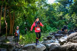 BIB: 
                            <button type="button" onclick="openModal(7026392)" class="btn btn-primary btn-sm float-right btn-popup" data-toggle="modal" data-target=".modal-high-quality">
                        <i class="fas fa-shopping-cart"></i> Add to Cart
                    </button>
                                            <button type="button" onclick="isThisMe(7026392, true)" class="btn btn-success btn-sm float-right btn-popup btn-isme hidden" data-toggle="tooltip" data-placement="bottom" title="นี่คือรูปของคุณใช่ไหม คลิกที่นี่เพื่อเอาเข้าอัลบั้ม">
                        <i class="fas fa-plus"></i> Add to album
                    </button>
                    <button type="button" onclick="isThisMe(7026392, false)" class="btn btn-warning btn-sm float-right btn-popup btn-isnotme hidden">
                        <i class="fas fa-ban"></i> Remove from album
                    </button>