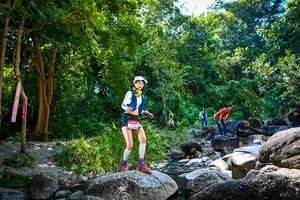 BIB: 
                            <button type="button" onclick="openModal(7026299)" class="btn btn-primary btn-sm float-right btn-popup" data-toggle="modal" data-target=".modal-high-quality">
                        <i class="fas fa-shopping-cart"></i> Add to Cart
                    </button>
                                            <button type="button" onclick="isThisMe(7026299, true)" class="btn btn-success btn-sm float-right btn-popup btn-isme hidden" data-toggle="tooltip" data-placement="bottom" title="นี่คือรูปของคุณใช่ไหม คลิกที่นี่เพื่อเอาเข้าอัลบั้ม">
                        <i class="fas fa-plus"></i> Add to album
                    </button>
                    <button type="button" onclick="isThisMe(7026299, false)" class="btn btn-warning btn-sm float-right btn-popup btn-isnotme hidden">
                        <i class="fas fa-ban"></i> Remove from album
                    </button>