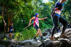 BIB: 253
                            <button type="button" onclick="openModal(7024077)" class="btn btn-primary btn-sm float-right btn-popup" data-toggle="modal" data-target=".modal-high-quality">
                        <i class="fas fa-shopping-cart"></i> Add to Cart
                    </button>
                                            <button type="button" onclick="isThisMe(7024077, true)" class="btn btn-success btn-sm float-right btn-popup btn-isme hidden" data-toggle="tooltip" data-placement="bottom" title="นี่คือรูปของคุณใช่ไหม คลิกที่นี่เพื่อเอาเข้าอัลบั้ม">
                        <i class="fas fa-plus"></i> Add to album
                    </button>
                    <button type="button" onclick="isThisMe(7024077, false)" class="btn btn-warning btn-sm float-right btn-popup btn-isnotme hidden">
                        <i class="fas fa-ban"></i> Remove from album
                    </button>