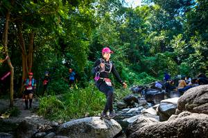 BIB: 
                            <button type="button" onclick="openModal(7024203)" class="btn btn-primary btn-sm float-right btn-popup" data-toggle="modal" data-target=".modal-high-quality">
                        <i class="fas fa-shopping-cart"></i> Add to Cart
                    </button>
                                            <button type="button" onclick="isThisMe(7024203, true)" class="btn btn-success btn-sm float-right btn-popup btn-isme hidden" data-toggle="tooltip" data-placement="bottom" title="นี่คือรูปของคุณใช่ไหม คลิกที่นี่เพื่อเอาเข้าอัลบั้ม">
                        <i class="fas fa-plus"></i> Add to album
                    </button>
                    <button type="button" onclick="isThisMe(7024203, false)" class="btn btn-warning btn-sm float-right btn-popup btn-isnotme hidden">
                        <i class="fas fa-ban"></i> Remove from album
                    </button>