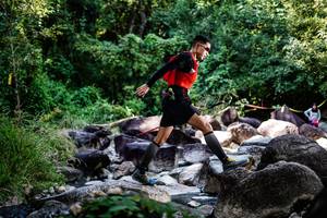 BIB: 
                            <button type="button" onclick="openModal(6926876)" class="btn btn-primary btn-sm float-right btn-popup" data-toggle="modal" data-target=".modal-high-quality">
                        <i class="fas fa-shopping-cart"></i> Add to Cart
                    </button>
                                            <button type="button" onclick="isThisMe(6926876, true)" class="btn btn-success btn-sm float-right btn-popup btn-isme hidden" data-toggle="tooltip" data-placement="bottom" title="นี่คือรูปของคุณใช่ไหม คลิกที่นี่เพื่อเอาเข้าอัลบั้ม">
                        <i class="fas fa-plus"></i> Add to album
                    </button>
                    <button type="button" onclick="isThisMe(6926876, false)" class="btn btn-warning btn-sm float-right btn-popup btn-isnotme hidden">
                        <i class="fas fa-ban"></i> Remove from album
                    </button>