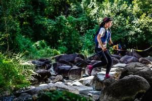 BIB: 
                            <button type="button" onclick="openModal(6931233)" class="btn btn-primary btn-sm float-right btn-popup" data-toggle="modal" data-target=".modal-high-quality">
                        <i class="fas fa-shopping-cart"></i> Add to Cart
                    </button>
                                            <button type="button" onclick="isThisMe(6931233, true)" class="btn btn-success btn-sm float-right btn-popup btn-isme hidden" data-toggle="tooltip" data-placement="bottom" title="นี่คือรูปของคุณใช่ไหม คลิกที่นี่เพื่อเอาเข้าอัลบั้ม">
                        <i class="fas fa-plus"></i> Add to album
                    </button>
                    <button type="button" onclick="isThisMe(6931233, false)" class="btn btn-warning btn-sm float-right btn-popup btn-isnotme hidden">
                        <i class="fas fa-ban"></i> Remove from album
                    </button>