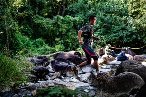 BIB: 
                            <button type="button" onclick="openModal(6926760)" class="btn btn-primary btn-sm float-right btn-popup" data-toggle="modal" data-target=".modal-high-quality">
                        <i class="fas fa-shopping-cart"></i> Add to Cart
                    </button>
                                            <button type="button" onclick="isThisMe(6926760, true)" class="btn btn-success btn-sm float-right btn-popup btn-isme hidden" data-toggle="tooltip" data-placement="bottom" title="นี่คือรูปของคุณใช่ไหม คลิกที่นี่เพื่อเอาเข้าอัลบั้ม">
                        <i class="fas fa-plus"></i> Add to album
                    </button>
                    <button type="button" onclick="isThisMe(6926760, false)" class="btn btn-warning btn-sm float-right btn-popup btn-isnotme hidden">
                        <i class="fas fa-ban"></i> Remove from album
                    </button>