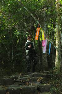 BIB: 
                            <button type="button" onclick="openModal(6972997)" class="btn btn-primary btn-sm float-right btn-popup" data-toggle="modal" data-target=".modal-high-quality">
                        <i class="fas fa-shopping-cart"></i> Add to Cart
                    </button>
                                            <button type="button" onclick="isThisMe(6972997, true)" class="btn btn-success btn-sm float-right btn-popup btn-isme hidden" data-toggle="tooltip" data-placement="bottom" title="นี่คือรูปของคุณใช่ไหม คลิกที่นี่เพื่อเอาเข้าอัลบั้ม">
                        <i class="fas fa-plus"></i> Add to album
                    </button>
                    <button type="button" onclick="isThisMe(6972997, false)" class="btn btn-warning btn-sm float-right btn-popup btn-isnotme hidden">
                        <i class="fas fa-ban"></i> Remove from album
                    </button>