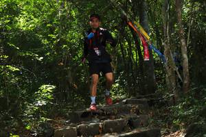 BIB: 
                            <button type="button" onclick="openModal(6982918)" class="btn btn-primary btn-sm float-right btn-popup" data-toggle="modal" data-target=".modal-high-quality">
                        <i class="fas fa-shopping-cart"></i> Add to Cart
                    </button>
                                            <button type="button" onclick="isThisMe(6982918, true)" class="btn btn-success btn-sm float-right btn-popup btn-isme hidden" data-toggle="tooltip" data-placement="bottom" title="นี่คือรูปของคุณใช่ไหม คลิกที่นี่เพื่อเอาเข้าอัลบั้ม">
                        <i class="fas fa-plus"></i> Add to album
                    </button>
                    <button type="button" onclick="isThisMe(6982918, false)" class="btn btn-warning btn-sm float-right btn-popup btn-isnotme hidden">
                        <i class="fas fa-ban"></i> Remove from album
                    </button>