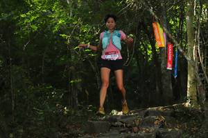 BIB: 2895
                            <button type="button" onclick="openModal(6975255)" class="btn btn-primary btn-sm float-right btn-popup" data-toggle="modal" data-target=".modal-high-quality">
                        <i class="fas fa-shopping-cart"></i> Add to Cart
                    </button>
                                            <button type="button" onclick="isThisMe(6975255, true)" class="btn btn-success btn-sm float-right btn-popup btn-isme hidden" data-toggle="tooltip" data-placement="bottom" title="นี่คือรูปของคุณใช่ไหม คลิกที่นี่เพื่อเอาเข้าอัลบั้ม">
                        <i class="fas fa-plus"></i> Add to album
                    </button>
                    <button type="button" onclick="isThisMe(6975255, false)" class="btn btn-warning btn-sm float-right btn-popup btn-isnotme hidden">
                        <i class="fas fa-ban"></i> Remove from album
                    </button>