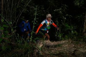 BIB: , 
                            <button type="button" onclick="openModal(6957209)" class="btn btn-primary btn-sm float-right btn-popup" data-toggle="modal" data-target=".modal-high-quality">
                        <i class="fas fa-shopping-cart"></i> Add to Cart
                    </button>
                                            <button type="button" onclick="isThisMe(6957209, true)" class="btn btn-success btn-sm float-right btn-popup btn-isme hidden" data-toggle="tooltip" data-placement="bottom" title="นี่คือรูปของคุณใช่ไหม คลิกที่นี่เพื่อเอาเข้าอัลบั้ม">
                        <i class="fas fa-plus"></i> Add to album
                    </button>
                    <button type="button" onclick="isThisMe(6957209, false)" class="btn btn-warning btn-sm float-right btn-popup btn-isnotme hidden">
                        <i class="fas fa-ban"></i> Remove from album
                    </button>