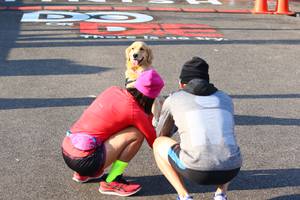 BIB: 
                            <button type="button" onclick="openModal(6962221)" class="btn btn-primary btn-sm float-right btn-popup" data-toggle="modal" data-target=".modal-high-quality">
                        <i class="fas fa-shopping-cart"></i> Add to Cart
                    </button>
                                            <button type="button" onclick="isThisMe(6962221, true)" class="btn btn-success btn-sm float-right btn-popup btn-isme hidden" data-toggle="tooltip" data-placement="bottom" title="นี่คือรูปของคุณใช่ไหม คลิกที่นี่เพื่อเอาเข้าอัลบั้ม">
                        <i class="fas fa-plus"></i> Add to album
                    </button>
                    <button type="button" onclick="isThisMe(6962221, false)" class="btn btn-warning btn-sm float-right btn-popup btn-isnotme hidden">
                        <i class="fas fa-ban"></i> Remove from album
                    </button>