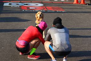 BIB: 
                            <button type="button" onclick="openModal(6962219)" class="btn btn-primary btn-sm float-right btn-popup" data-toggle="modal" data-target=".modal-high-quality">
                        <i class="fas fa-shopping-cart"></i> Add to Cart
                    </button>
                                            <button type="button" onclick="isThisMe(6962219, true)" class="btn btn-success btn-sm float-right btn-popup btn-isme hidden" data-toggle="tooltip" data-placement="bottom" title="นี่คือรูปของคุณใช่ไหม คลิกที่นี่เพื่อเอาเข้าอัลบั้ม">
                        <i class="fas fa-plus"></i> Add to album
                    </button>
                    <button type="button" onclick="isThisMe(6962219, false)" class="btn btn-warning btn-sm float-right btn-popup btn-isnotme hidden">
                        <i class="fas fa-ban"></i> Remove from album
                    </button>