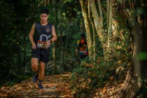 BIB: 
                            <button type="button" onclick="openModal(6951577)" class="btn btn-primary btn-sm float-right btn-popup" data-toggle="modal" data-target=".modal-high-quality">
                        <i class="fas fa-shopping-cart"></i> Add to Cart
                    </button>
                                            <button type="button" onclick="isThisMe(6951577, true)" class="btn btn-success btn-sm float-right btn-popup btn-isme hidden" data-toggle="tooltip" data-placement="bottom" title="นี่คือรูปของคุณใช่ไหม คลิกที่นี่เพื่อเอาเข้าอัลบั้ม">
                        <i class="fas fa-plus"></i> Add to album
                    </button>
                    <button type="button" onclick="isThisMe(6951577, false)" class="btn btn-warning btn-sm float-right btn-popup btn-isnotme hidden">
                        <i class="fas fa-ban"></i> Remove from album
                    </button>