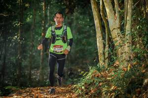 BIB: 1499
                            <button type="button" onclick="openModal(6951482)" class="btn btn-primary btn-sm float-right btn-popup" data-toggle="modal" data-target=".modal-high-quality">
                        <i class="fas fa-shopping-cart"></i> Add to Cart
                    </button>
                                            <button type="button" onclick="isThisMe(6951482, true)" class="btn btn-success btn-sm float-right btn-popup btn-isme hidden" data-toggle="tooltip" data-placement="bottom" title="นี่คือรูปของคุณใช่ไหม คลิกที่นี่เพื่อเอาเข้าอัลบั้ม">
                        <i class="fas fa-plus"></i> Add to album
                    </button>
                    <button type="button" onclick="isThisMe(6951482, false)" class="btn btn-warning btn-sm float-right btn-popup btn-isnotme hidden">
                        <i class="fas fa-ban"></i> Remove from album
                    </button>