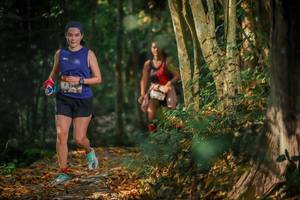 BIB: 
                            <button type="button" onclick="openModal(6951826)" class="btn btn-primary btn-sm float-right btn-popup" data-toggle="modal" data-target=".modal-high-quality">
                        <i class="fas fa-shopping-cart"></i> Add to Cart
                    </button>
                                            <button type="button" onclick="isThisMe(6951826, true)" class="btn btn-success btn-sm float-right btn-popup btn-isme hidden" data-toggle="tooltip" data-placement="bottom" title="นี่คือรูปของคุณใช่ไหม คลิกที่นี่เพื่อเอาเข้าอัลบั้ม">
                        <i class="fas fa-plus"></i> Add to album
                    </button>
                    <button type="button" onclick="isThisMe(6951826, false)" class="btn btn-warning btn-sm float-right btn-popup btn-isnotme hidden">
                        <i class="fas fa-ban"></i> Remove from album
                    </button>