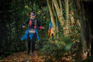 BIB: 1712
                            <button type="button" onclick="openModal(6951897)" class="btn btn-primary btn-sm float-right btn-popup" data-toggle="modal" data-target=".modal-high-quality">
                        <i class="fas fa-shopping-cart"></i> Add to Cart
                    </button>
                                            <button type="button" onclick="isThisMe(6951897, true)" class="btn btn-success btn-sm float-right btn-popup btn-isme hidden" data-toggle="tooltip" data-placement="bottom" title="นี่คือรูปของคุณใช่ไหม คลิกที่นี่เพื่อเอาเข้าอัลบั้ม">
                        <i class="fas fa-plus"></i> Add to album
                    </button>
                    <button type="button" onclick="isThisMe(6951897, false)" class="btn btn-warning btn-sm float-right btn-popup btn-isnotme hidden">
                        <i class="fas fa-ban"></i> Remove from album
                    </button>