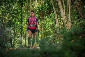 BIB: 
                            <button type="button" onclick="openModal(6999984)" class="btn btn-primary btn-sm float-right btn-popup" data-toggle="modal" data-target=".modal-high-quality">
                        <i class="fas fa-shopping-cart"></i> Add to Cart
                    </button>
                                            <button type="button" onclick="isThisMe(6999984, true)" class="btn btn-success btn-sm float-right btn-popup btn-isme hidden" data-toggle="tooltip" data-placement="bottom" title="นี่คือรูปของคุณใช่ไหม คลิกที่นี่เพื่อเอาเข้าอัลบั้ม">
                        <i class="fas fa-plus"></i> Add to album
                    </button>
                    <button type="button" onclick="isThisMe(6999984, false)" class="btn btn-warning btn-sm float-right btn-popup btn-isnotme hidden">
                        <i class="fas fa-ban"></i> Remove from album
                    </button>