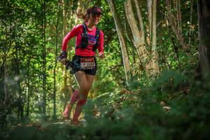 BIB: 2533
                            <button type="button" onclick="openModal(6999425)" class="btn btn-primary btn-sm float-right btn-popup" data-toggle="modal" data-target=".modal-high-quality">
                        <i class="fas fa-shopping-cart"></i> Add to Cart
                    </button>
                                            <button type="button" onclick="isThisMe(6999425, true)" class="btn btn-success btn-sm float-right btn-popup btn-isme hidden" data-toggle="tooltip" data-placement="bottom" title="นี่คือรูปของคุณใช่ไหม คลิกที่นี่เพื่อเอาเข้าอัลบั้ม">
                        <i class="fas fa-plus"></i> Add to album
                    </button>
                    <button type="button" onclick="isThisMe(6999425, false)" class="btn btn-warning btn-sm float-right btn-popup btn-isnotme hidden">
                        <i class="fas fa-ban"></i> Remove from album
                    </button>