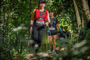 BIB: 2356, 
                            <button type="button" onclick="openModal(7030499)" class="btn btn-primary btn-sm float-right btn-popup" data-toggle="modal" data-target=".modal-high-quality">
                        <i class="fas fa-shopping-cart"></i> Add to Cart
                    </button>
                                            <button type="button" onclick="isThisMe(7030499, true)" class="btn btn-success btn-sm float-right btn-popup btn-isme hidden" data-toggle="tooltip" data-placement="bottom" title="นี่คือรูปของคุณใช่ไหม คลิกที่นี่เพื่อเอาเข้าอัลบั้ม">
                        <i class="fas fa-plus"></i> Add to album
                    </button>
                    <button type="button" onclick="isThisMe(7030499, false)" class="btn btn-warning btn-sm float-right btn-popup btn-isnotme hidden">
                        <i class="fas fa-ban"></i> Remove from album
                    </button>