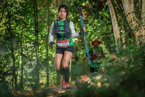 BIB: 2540
                            <button type="button" onclick="openModal(7005326)" class="btn btn-primary btn-sm float-right btn-popup" data-toggle="modal" data-target=".modal-high-quality">
                        <i class="fas fa-shopping-cart"></i> Add to Cart
                    </button>
                                            <button type="button" onclick="isThisMe(7005326, true)" class="btn btn-success btn-sm float-right btn-popup btn-isme hidden" data-toggle="tooltip" data-placement="bottom" title="นี่คือรูปของคุณใช่ไหม คลิกที่นี่เพื่อเอาเข้าอัลบั้ม">
                        <i class="fas fa-plus"></i> Add to album
                    </button>
                    <button type="button" onclick="isThisMe(7005326, false)" class="btn btn-warning btn-sm float-right btn-popup btn-isnotme hidden">
                        <i class="fas fa-ban"></i> Remove from album
                    </button>