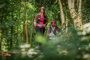 BIB: 272
                            <button type="button" onclick="openModal(7029786)" class="btn btn-primary btn-sm float-right btn-popup" data-toggle="modal" data-target=".modal-high-quality">
                        <i class="fas fa-shopping-cart"></i> Add to Cart
                    </button>
                                            <button type="button" onclick="isThisMe(7029786, true)" class="btn btn-success btn-sm float-right btn-popup btn-isme hidden" data-toggle="tooltip" data-placement="bottom" title="นี่คือรูปของคุณใช่ไหม คลิกที่นี่เพื่อเอาเข้าอัลบั้ม">
                        <i class="fas fa-plus"></i> Add to album
                    </button>
                    <button type="button" onclick="isThisMe(7029786, false)" class="btn btn-warning btn-sm float-right btn-popup btn-isnotme hidden">
                        <i class="fas fa-ban"></i> Remove from album
                    </button>